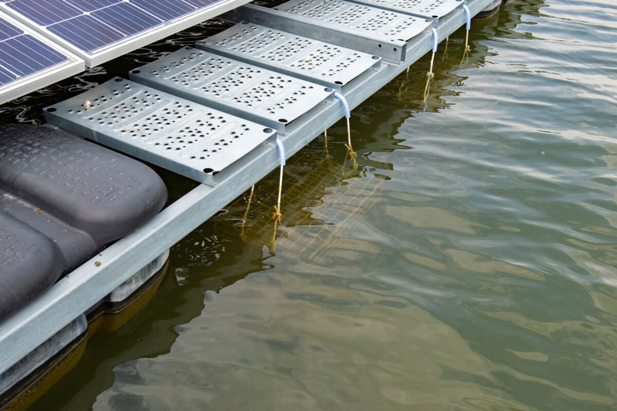 BayWa re publishes first results on the environmental impact of floating solar energy